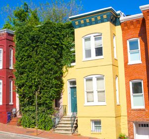 نانورنگ بتن (1کیلویی)بتن پلاست